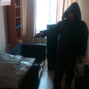 Уничтожение тараканов в квартире с гарантией в Благовещенске